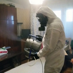 Дезинфекция от клопов в Новопавловске