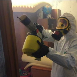 Уничтожение клопов в квартире. Новопавловск